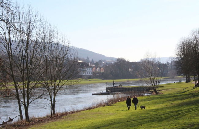 Apartment in Bodenwerder mit Balkon - Foto 26