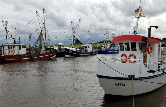 Ferienwohnung Tiefblick, Dornumersiel - Foto 19