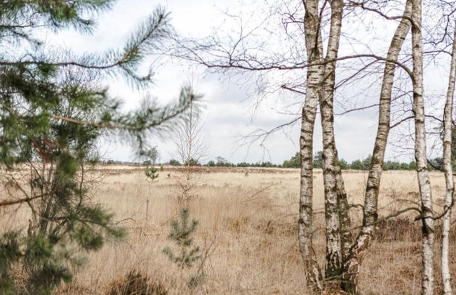 Villa in Someren Near Somerense Heide - Photo 40