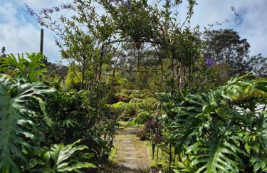 Pu'uwai Place of Volcano Village - Foto 23