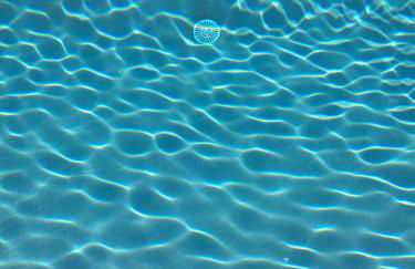 Maison de la Porte des Loups dans le Ventoux - Foto 38