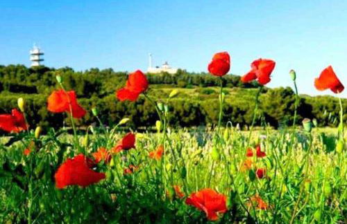 Lovicéa Balnéo Suite, 200m plage - Foto 10