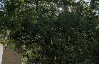 Velanis Ηouse, style into nature - secluded - Foto 32