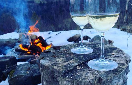 Pod Srebrzystym Świerkiem - Jacuzzi - Foto 53