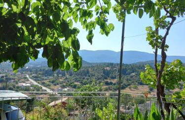 Kassi's House - Foto 1