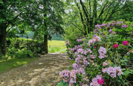 Wolfsmühle - Foto 49