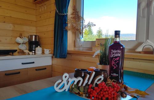 Apartamenty przy Jeziorze Żywieckim z widokiem na Skrzyczne - Foto 38