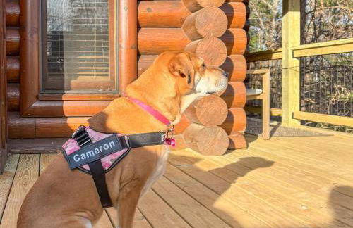 Blue Ridge Cozy Cabin-Hot Tub & Dog Friendly - Foto 14