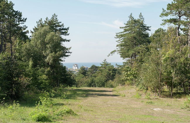 Dune Top Family Retreat - Photo 35