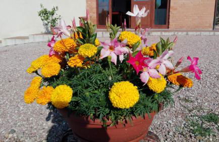 Agriturismo San Silvestro - Foto 59