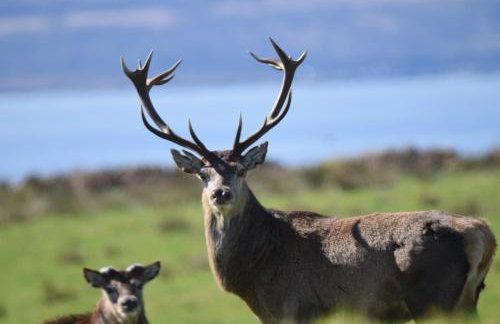 Red Watch Apartment - Foto 27