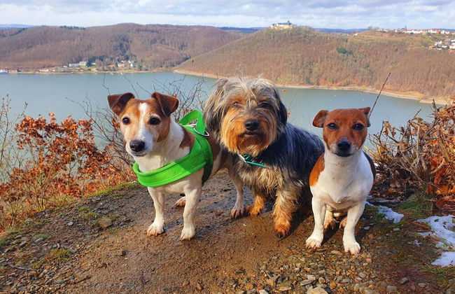 Ferienwohnung mit Bergblick - Foto 21