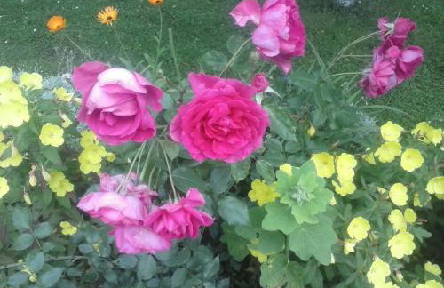 House Nina - Foto 13