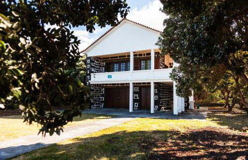 Adega do Pereirinha - Photo 2