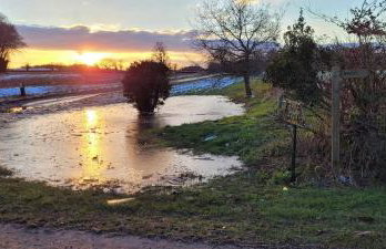 The Acorn - Roudham Norwich - Foto 32