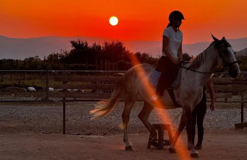 Apartment Tanja - Foto 4