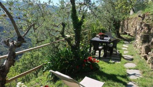 Casa di Isodoru - Foto 2, Garden, Garden view