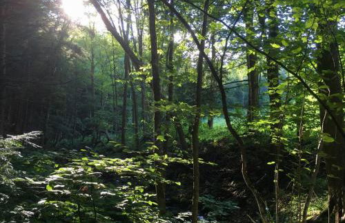 Secluded Farmhouse Near Okemo, Bromley, Sunapee - Foto 29