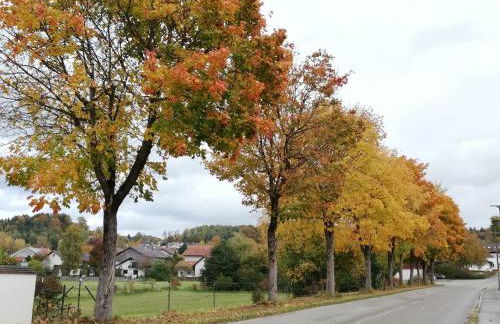 Kern's Hoamat - Foto 9