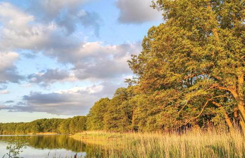 3 Bedroom Lovely Home In Nowe Warpno - Foto 30