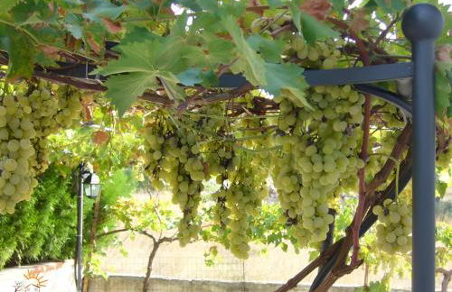 dimora del sole e del vento - Foto 5