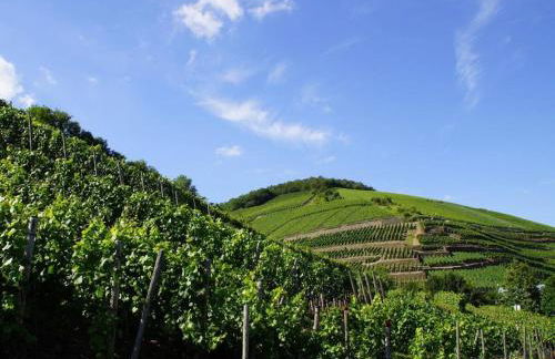 One-bedroom apartment - Foto 22