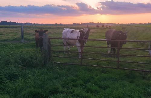 Ferienwohnung Altneukoog - Foto 26