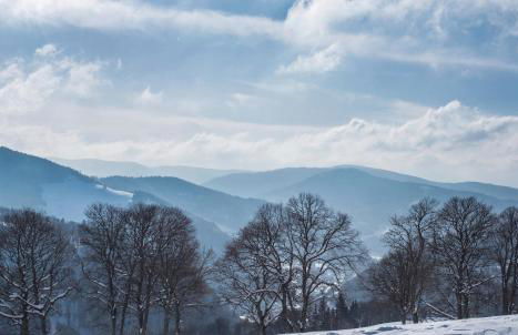 Ferienwohnung Kraftquelle im Wohnpark SchwarzwaldBlick, Bernau - Foto 22