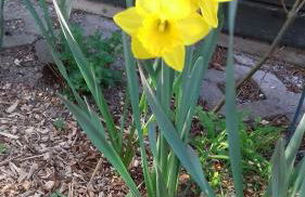 FEWO Lichtblick - Foto 20