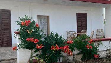 Villa Nicole - Foto 1, Garden, Garden view