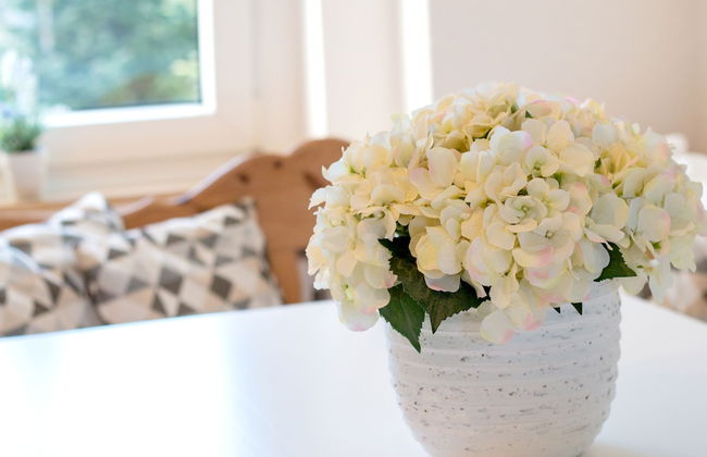 Ferienhaus Domblick Herkenrath - Foto 26