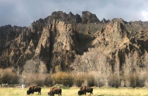 Wapiti Valley Magic, East Yellowstone - Foto 23