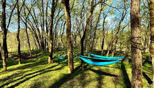 Three Suns Full Rental | 8 Cabins | Views | River - Foto 5, Other