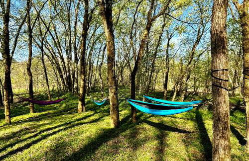 Three Suns Full Rental | 8 Cabins | Views | River - Foto 5