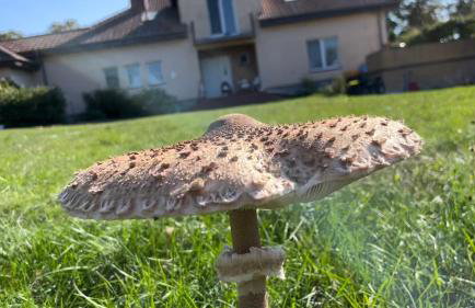 Kopice " Kowalczyk In Nature Parks Blue Velo" - Foto 55