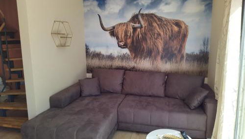 Ferienhof-Dachsberg Wohnung Highlander - Foto 1