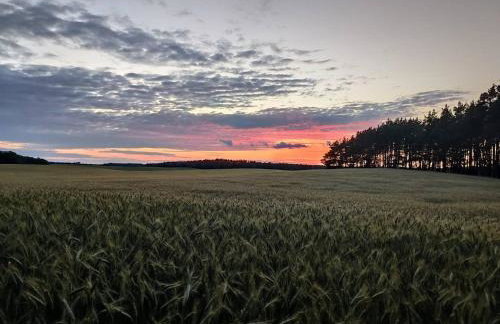 Stawy u Sikory - Dom Rybak - Agroturystyka i łowisko - Foto 29