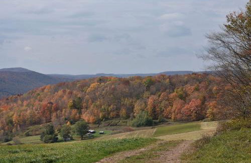 Charming Cabin on 1,000-Acre Farm in Westfield, Pennsylvania - Foto 22