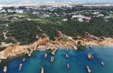 Luxury Modern T2 Ocean View - Free Parking - Pool - Foto 73