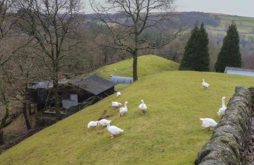 Cragg Hall View - Foto 16