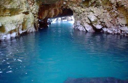 House Abatros - Foto 22