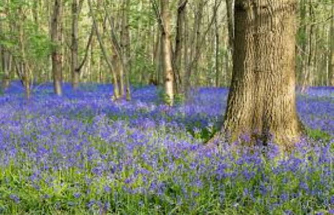 Owl Barn, Sisland - Spacious Apartment - Foto 20