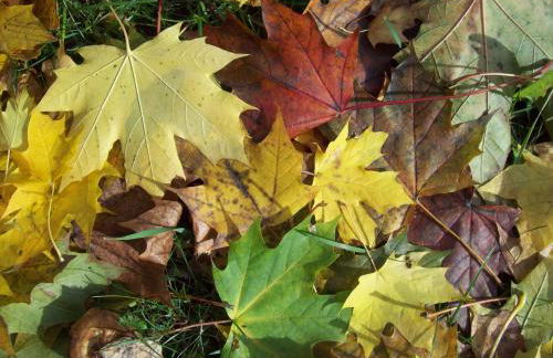 Casa delle Rose - Foto 80
