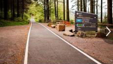 Three bed, forest view home - Photo 3