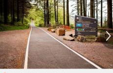 Three bed, forest view home - Foto 3