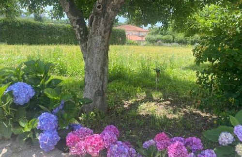 Casa do Muro Alto - Foto 71