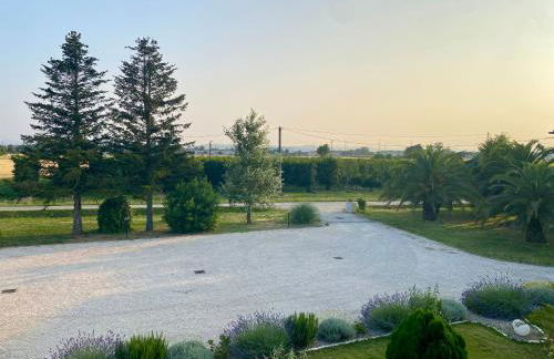 Agriturismo Il Granaio Faenza - Foto 4