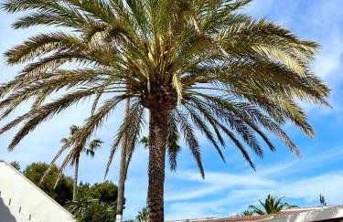 Menorca Chic Apartment Near Beach & Harbour - Foto 31