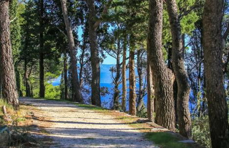 Dream House Rajic - Foto 13