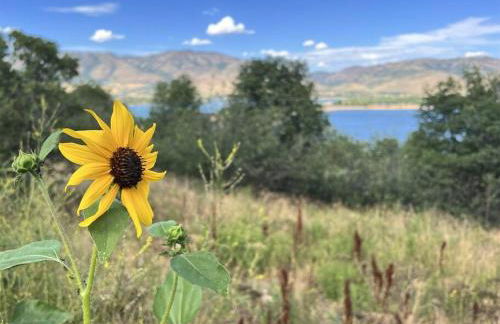 Snowbasin + Powder Mountain + Spa + Eden - Foto 27